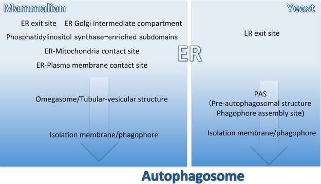 Figure 1.