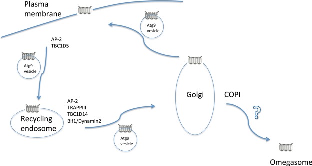 Figure 4.