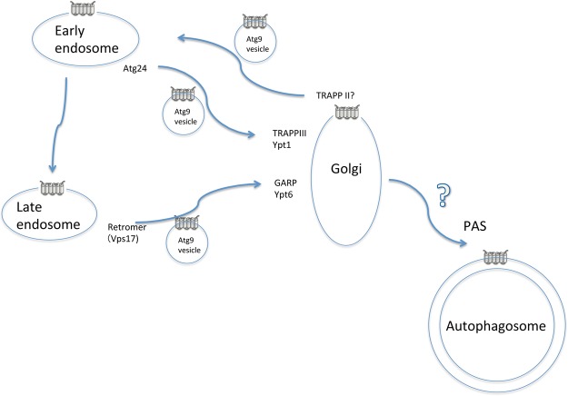 Figure 3.