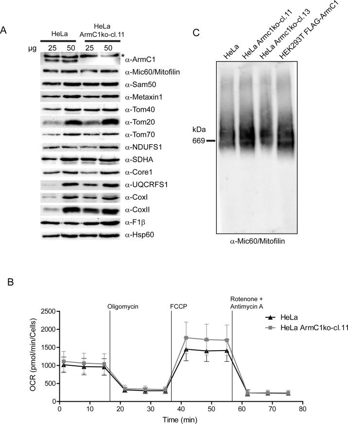 Fig 5