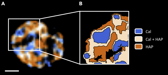 Figure 6