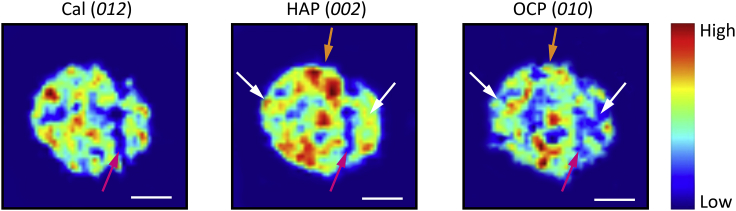 Figure 4