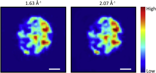 Figure 2