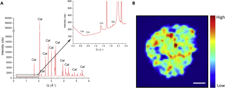 Figure 1