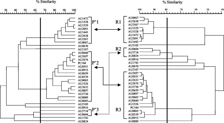 FIG. 3.