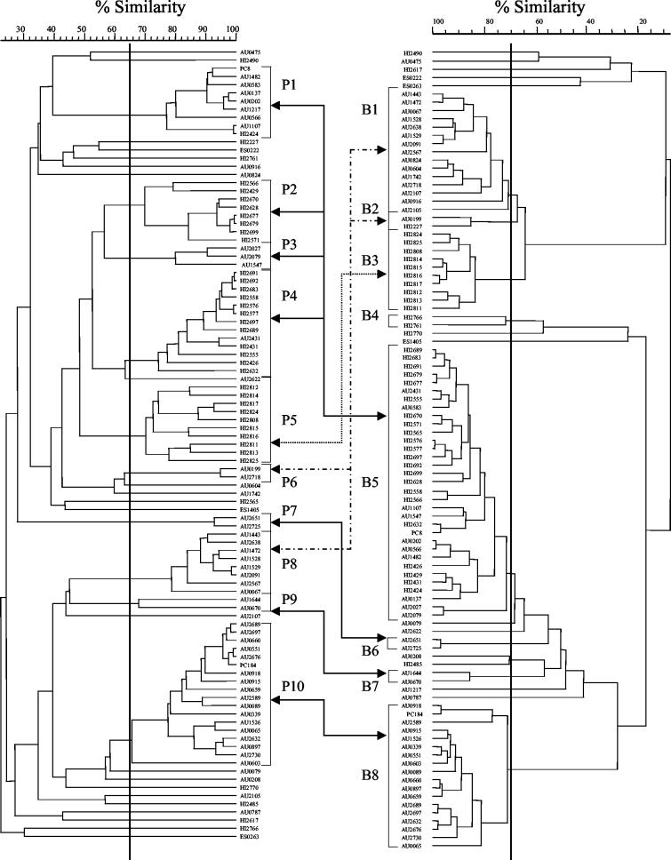 FIG. 2.