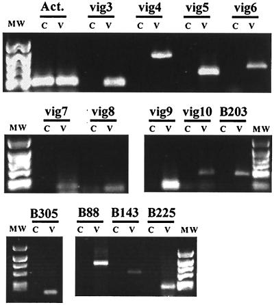 FIG. 8.