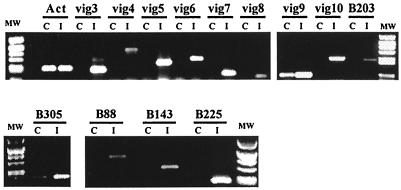 FIG. 7.