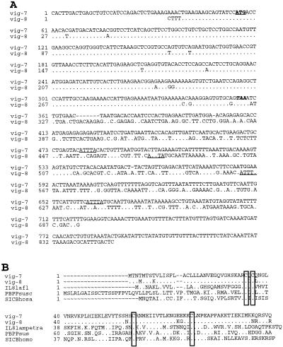 FIG. 6.