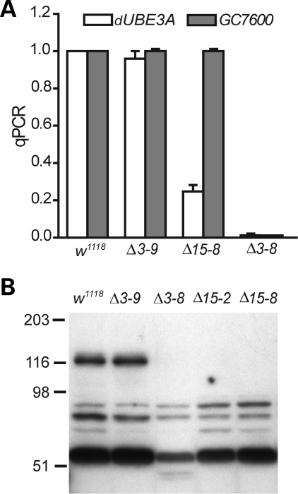 Figure 2.