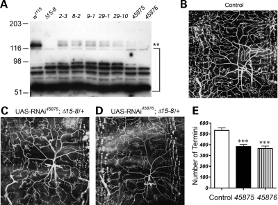 Figure 4.