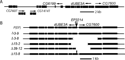 Figure 1.