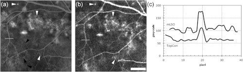 Fig. 10