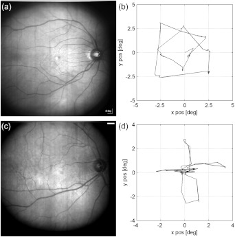 Fig. 5