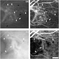 Fig. 8