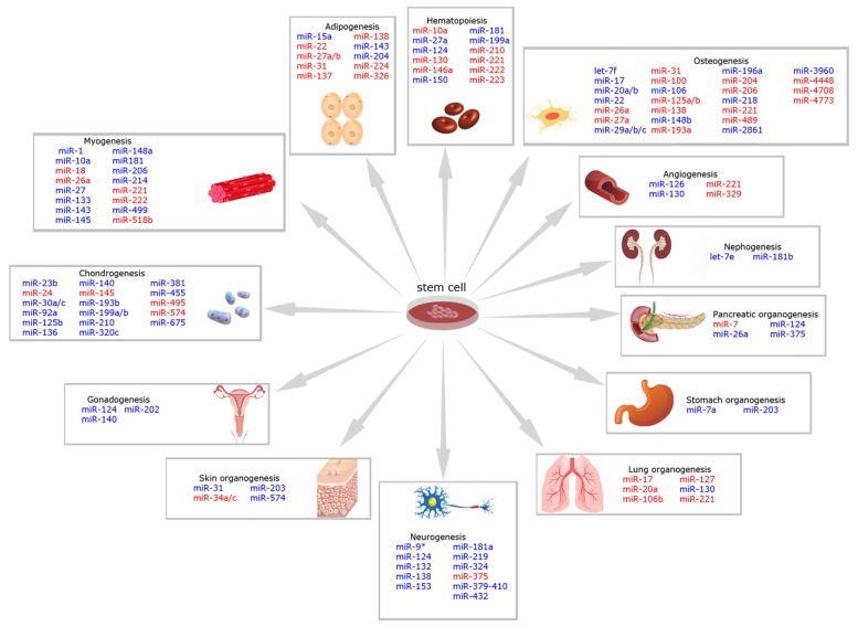 Fig. (1)