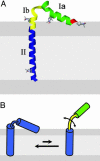 Fig. 9.
