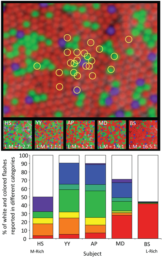 Figure 9: