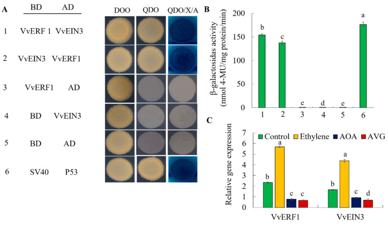 Figure 13