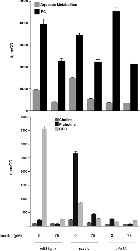 FIGURE 7.