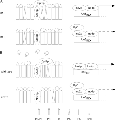 FIGURE 9.