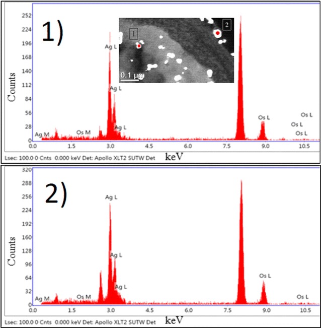 Fig. 2