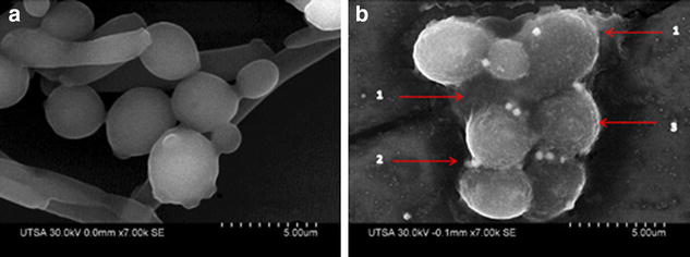 Fig. 7