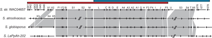 FIG 3