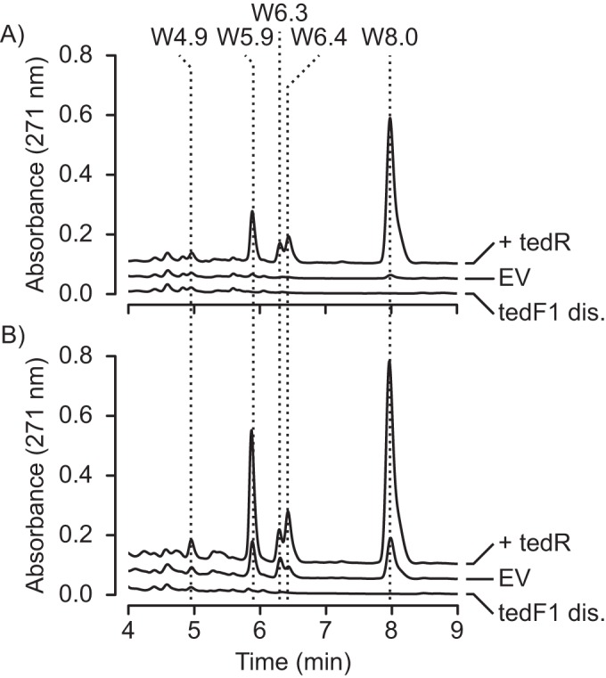 FIG 5