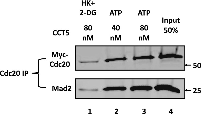 Fig. S5.