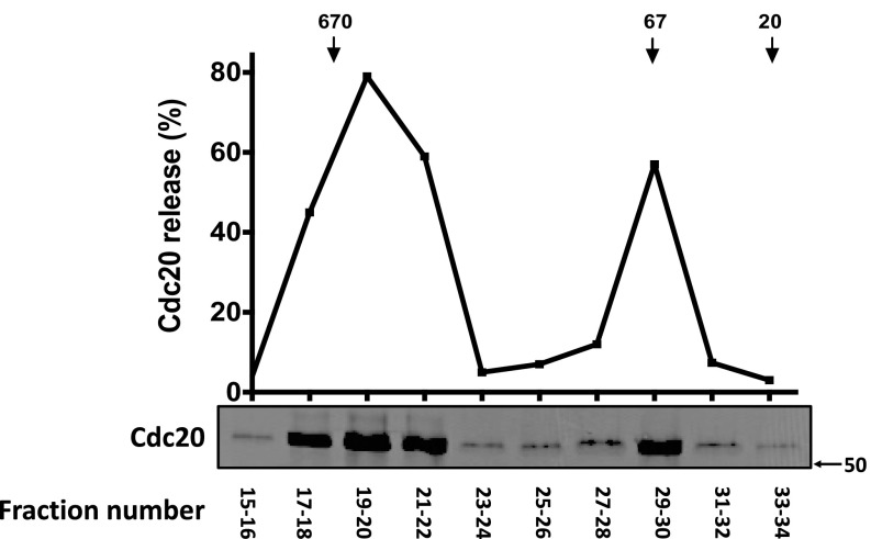 Fig. S3.