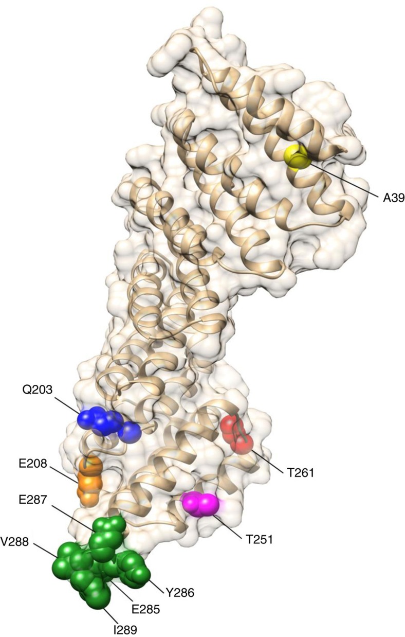 Figure 6