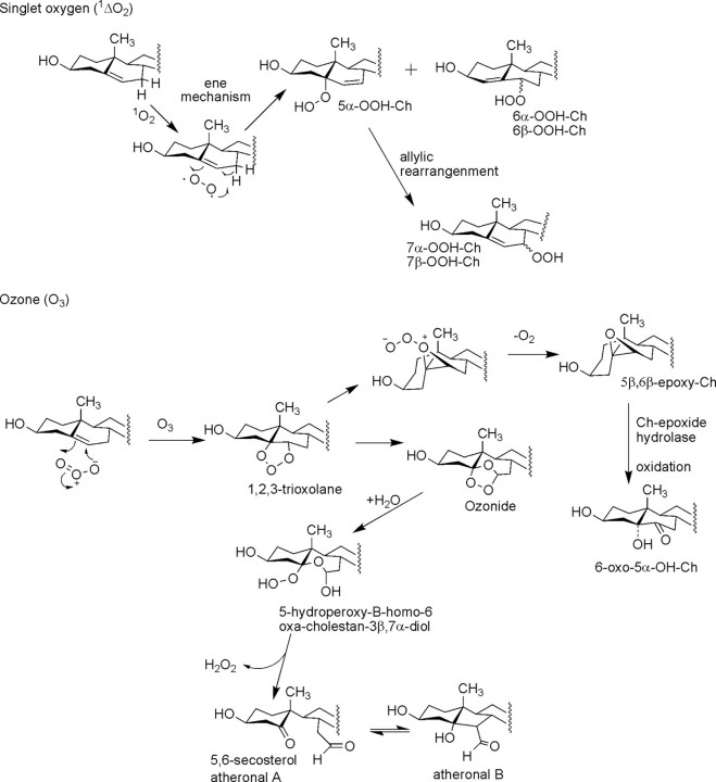 FIGURE 2.