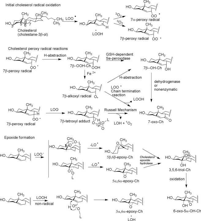 FIGURE 1.