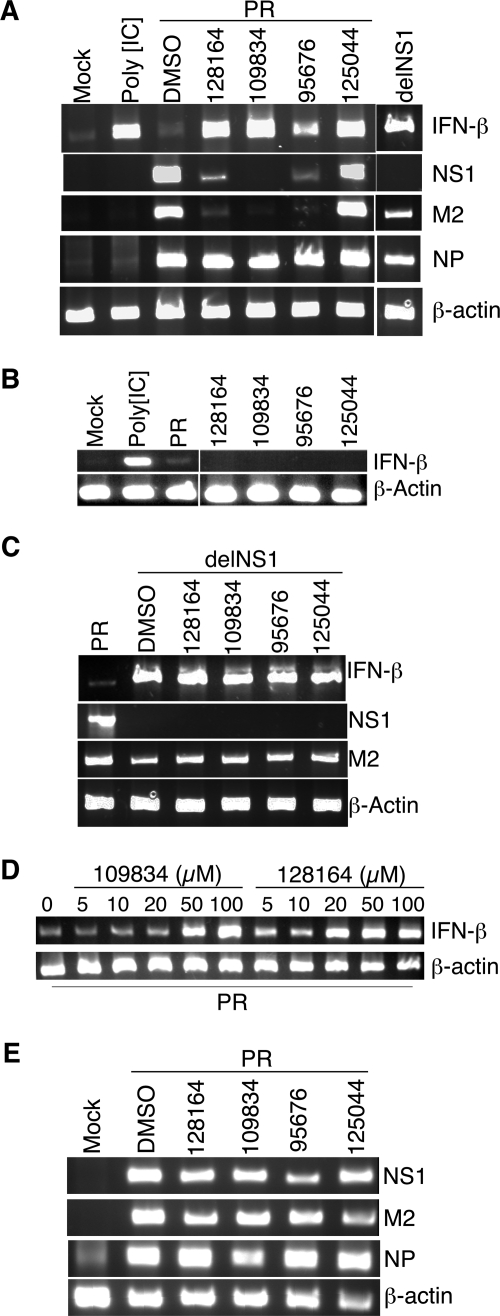 FIG. 6.