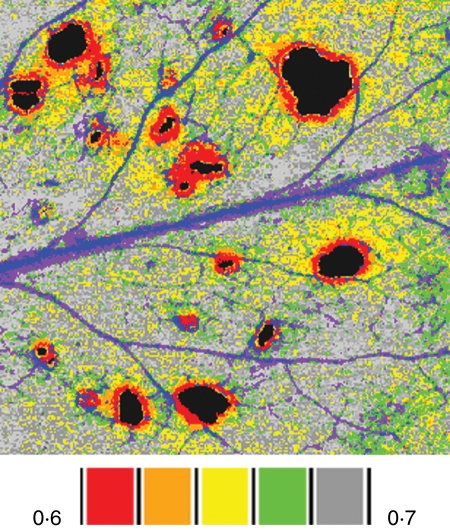 Fig. 2.