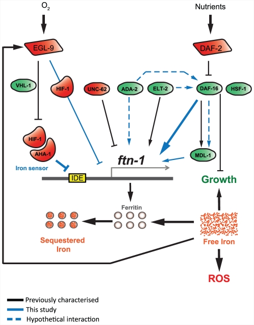 Figure 7