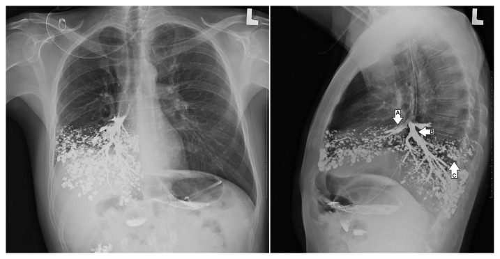 Figure 1: