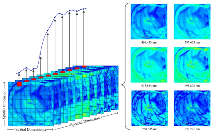 Figure 6.