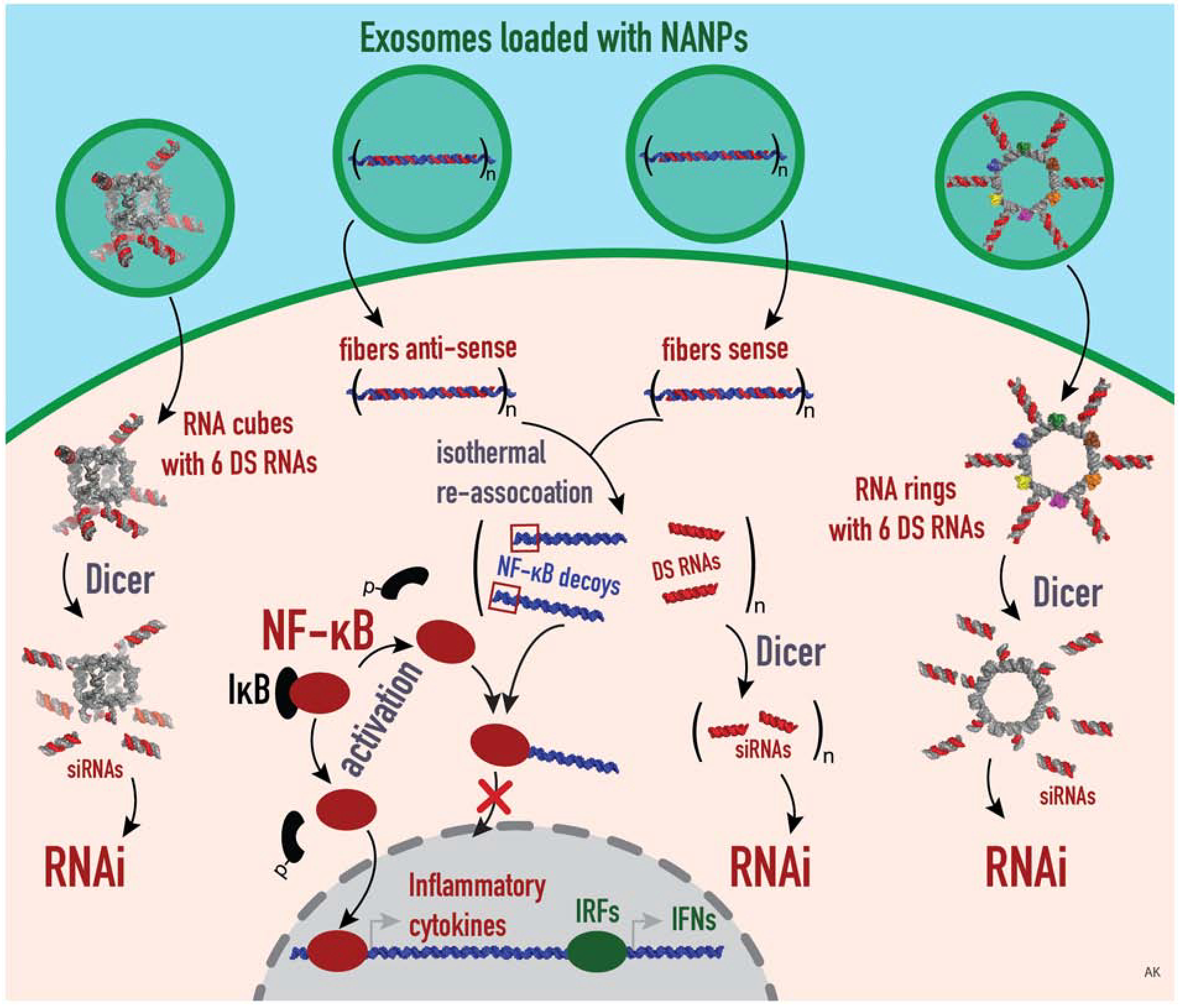 Figure 6: