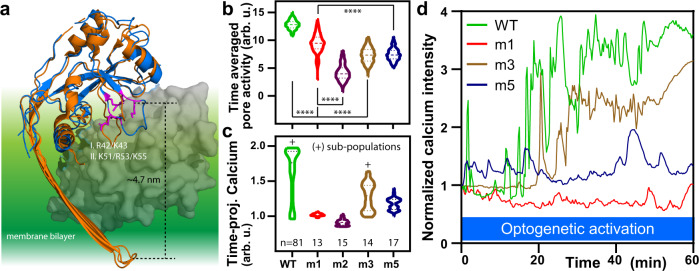 Fig. 4