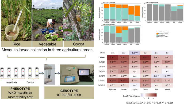 graphic file with name 13071_2023_5876_Figa_HTML.jpg