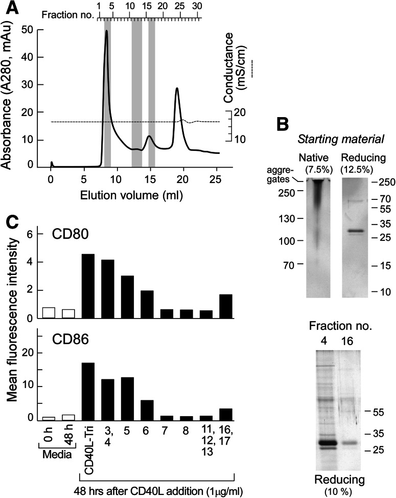 Fig. 6