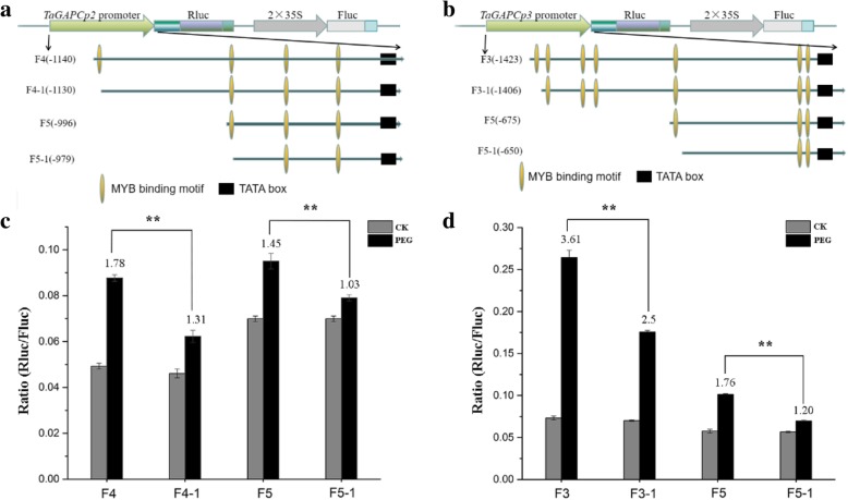 Fig. 10