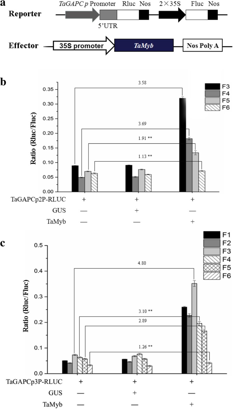 Fig. 8