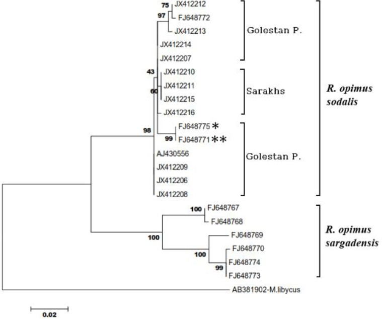 Fig. 3.