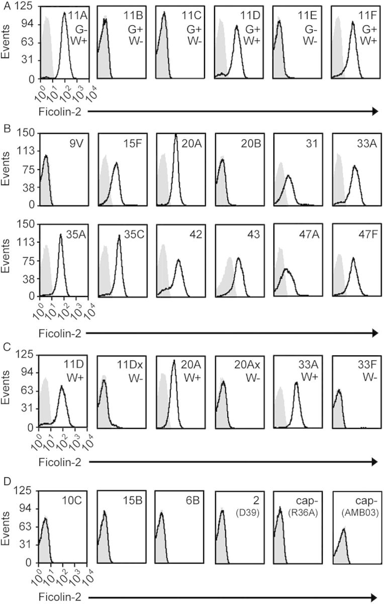 Figure 3.