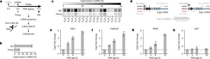 Fig. 4