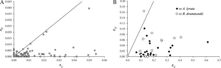 Figure 4.—