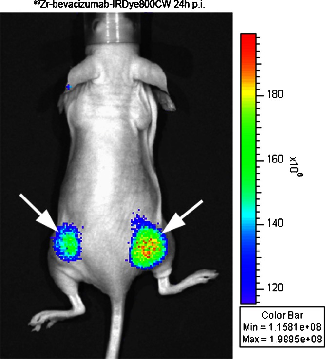 Fig. 2